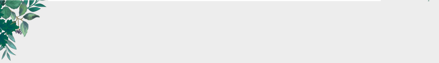 Woodland botanical illustrated foliage artwork