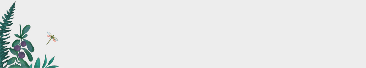 Woodland botanical illustration, featuring green fern, sloes on blackthorn plant and dragonfly